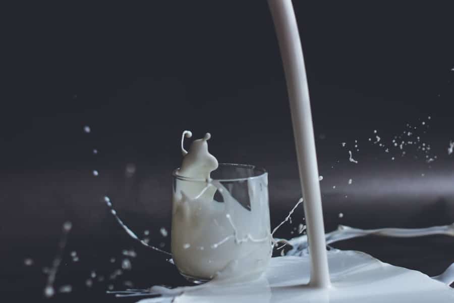 Latte contaminato: controversie sul latte in polvere Lactalis