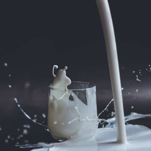 Latte contaminato: controversie sul latte in polvere Lactalis